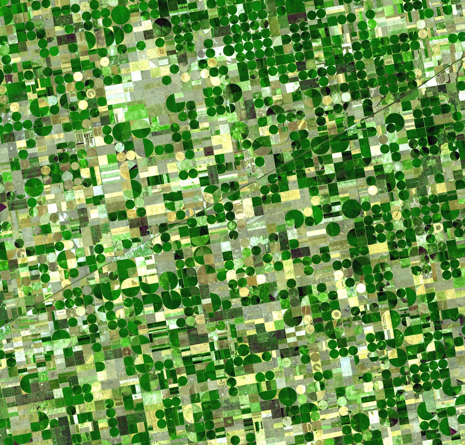 Center-pivot irrigation fields in Kansas (ASTER, NASA/METI)