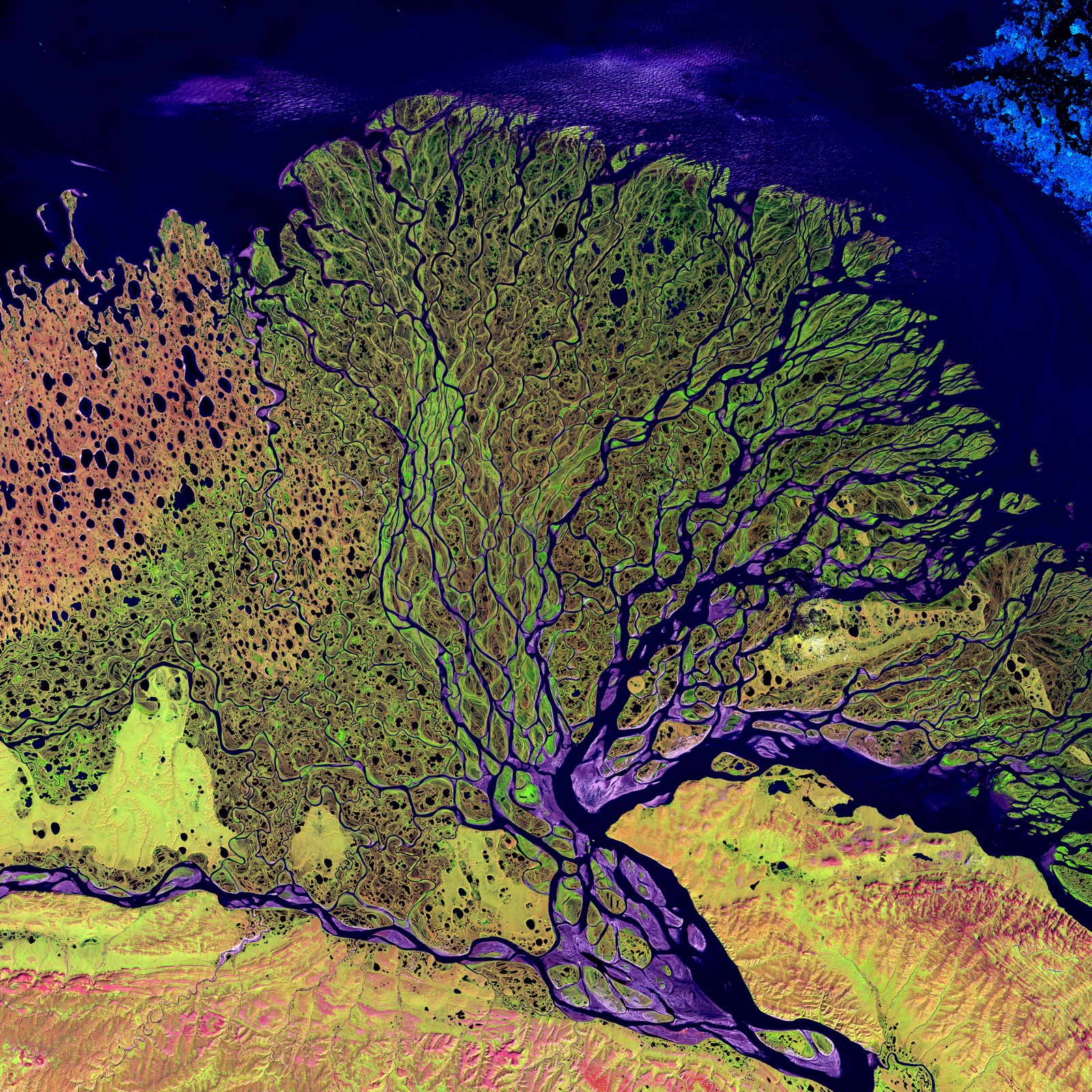The Lena River delta meeting the Laptev Sea (Landsat 7, USGS/NASA)